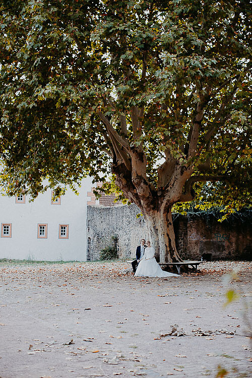 Brautpaar sitzt auf einer Bank unter einem prachtvollen alten Baum